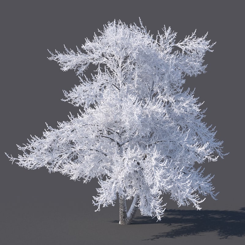 3D model snow tree - TurboSquid 1248042