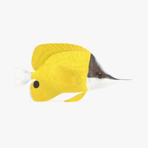 3D longnose butterflyfish model