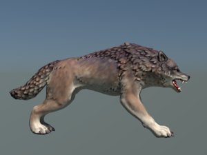 3D model wolf