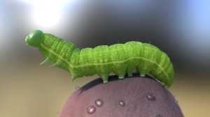 3D rigged caterpillar