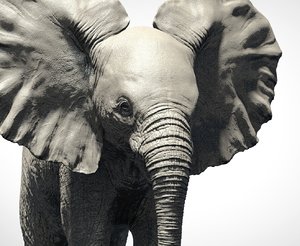 3D elephant baby model