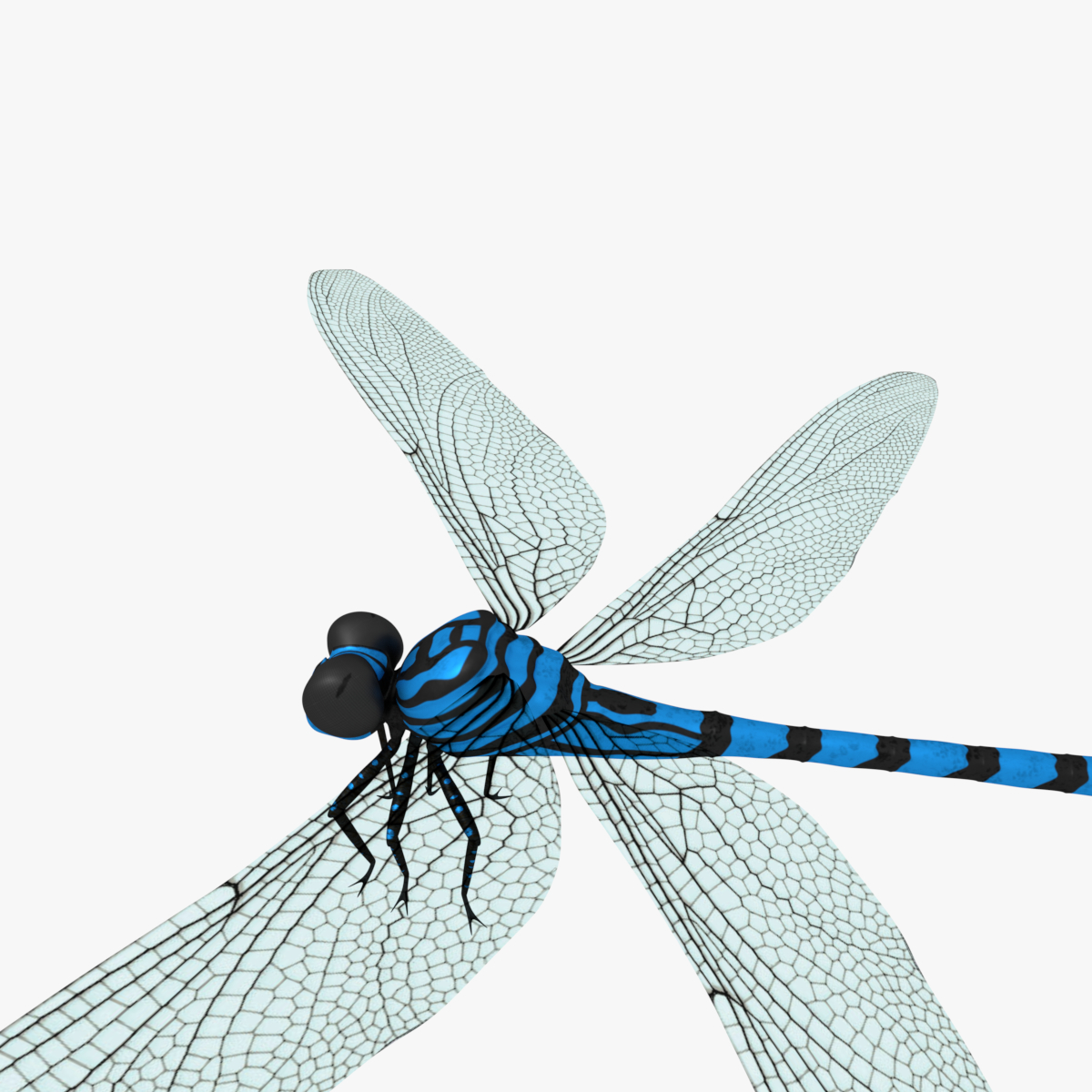 3d dragonfly