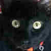 member avatar