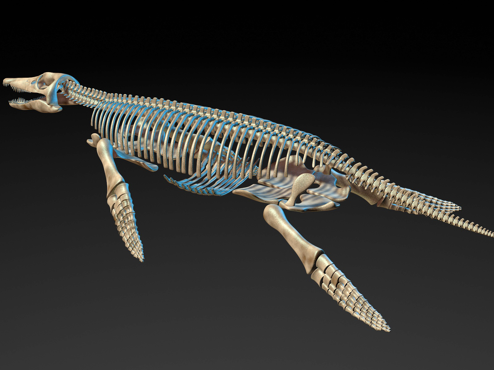 Kronosaurus pliosaur skull skeleton model - TurboSquid 1248852