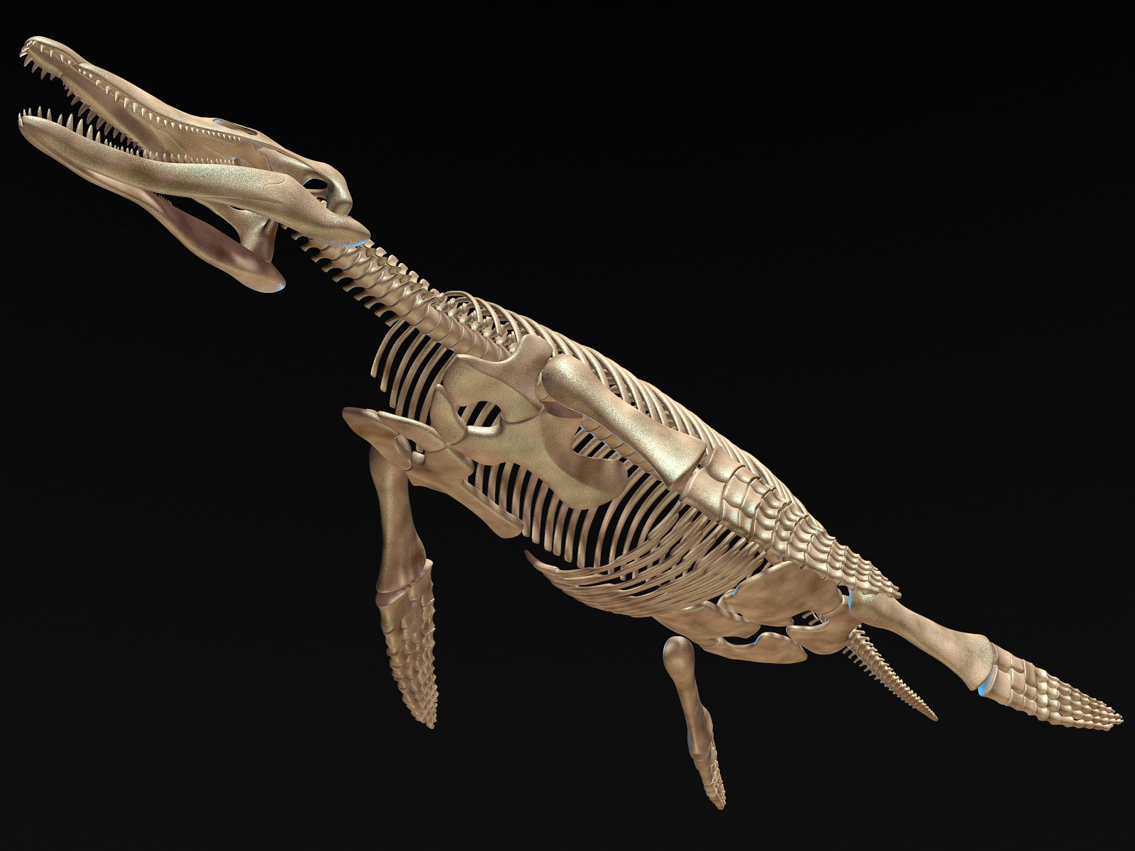 Kronosaurus pliosaur skull skeleton model - TurboSquid 1248852