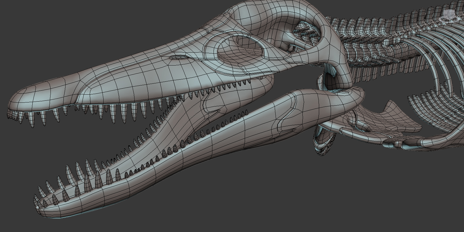 Kronosaurus pliosaur skull skeleton model - TurboSquid 1248852