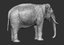 3D elephant asian
