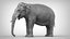 3D elephant asian