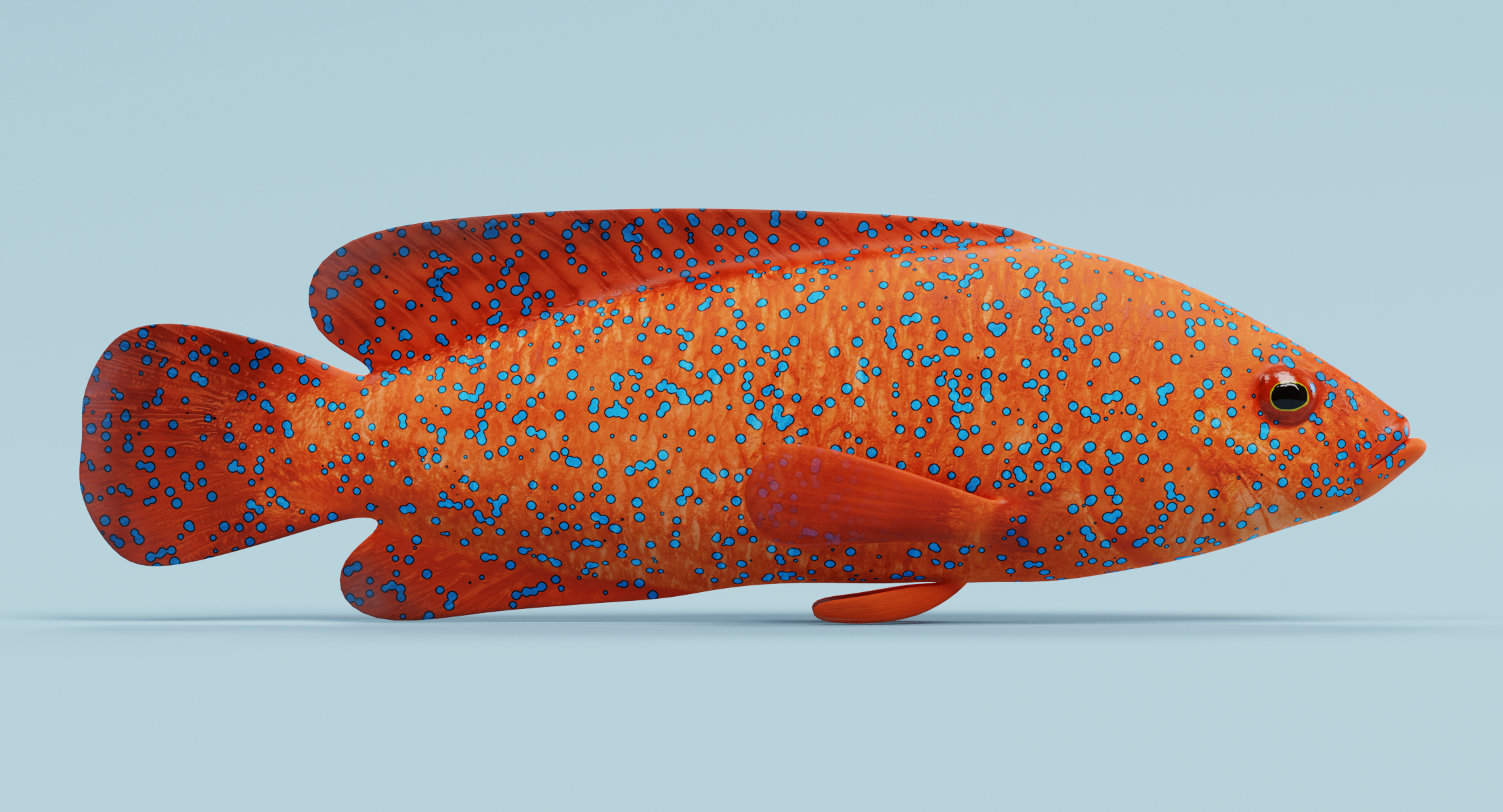 3d model coral grouper