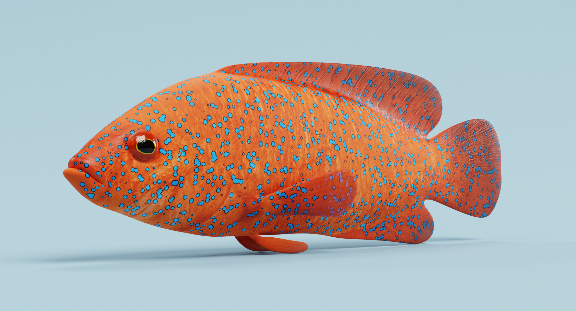 珊瑚石斑鱼3d模型