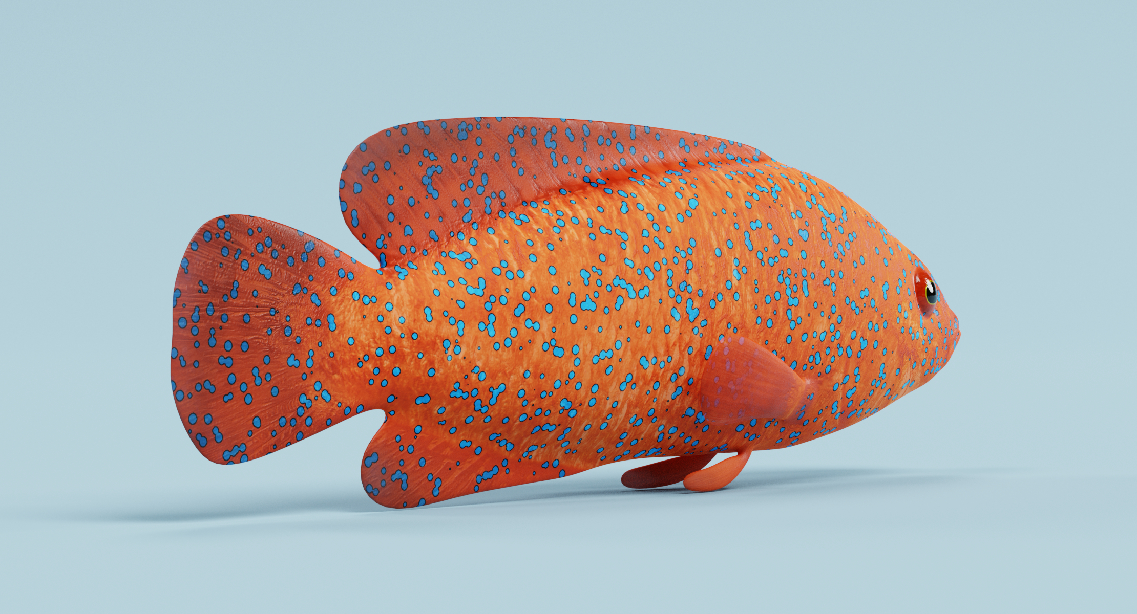 珊瑚石斑鱼3d模型