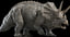 triceratops rigged 3D model