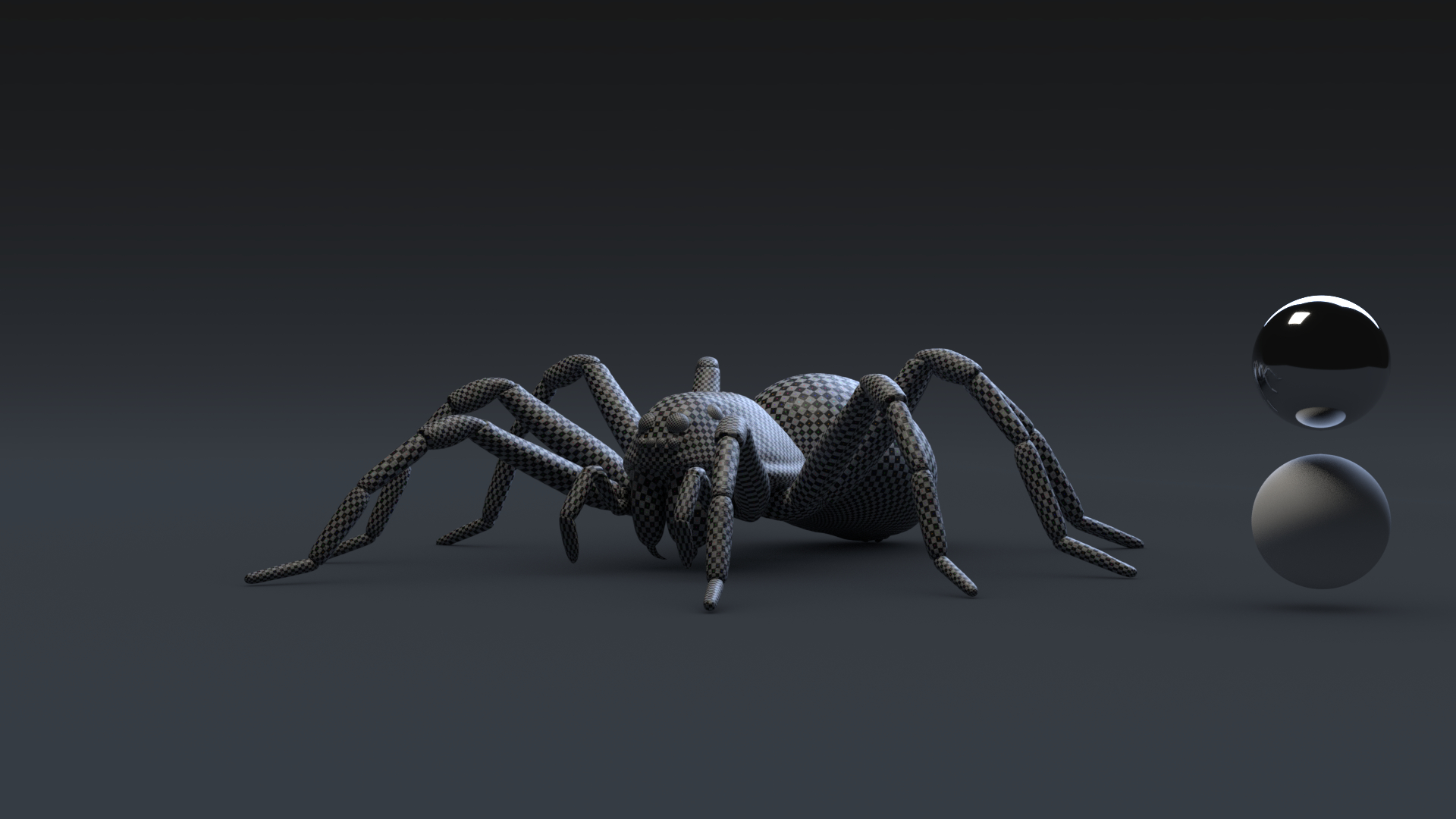 Wolf spider 3D model TurboSquid 1250355