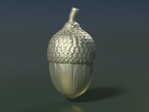 3D acorn