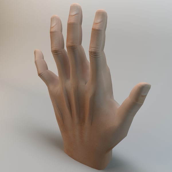 hand model