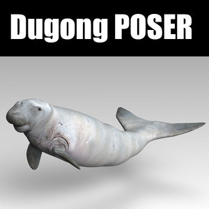 poser dugong model