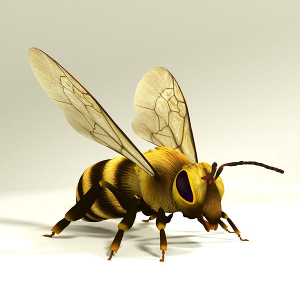 Honey Bee 3D Model - TurboSquid 1250814