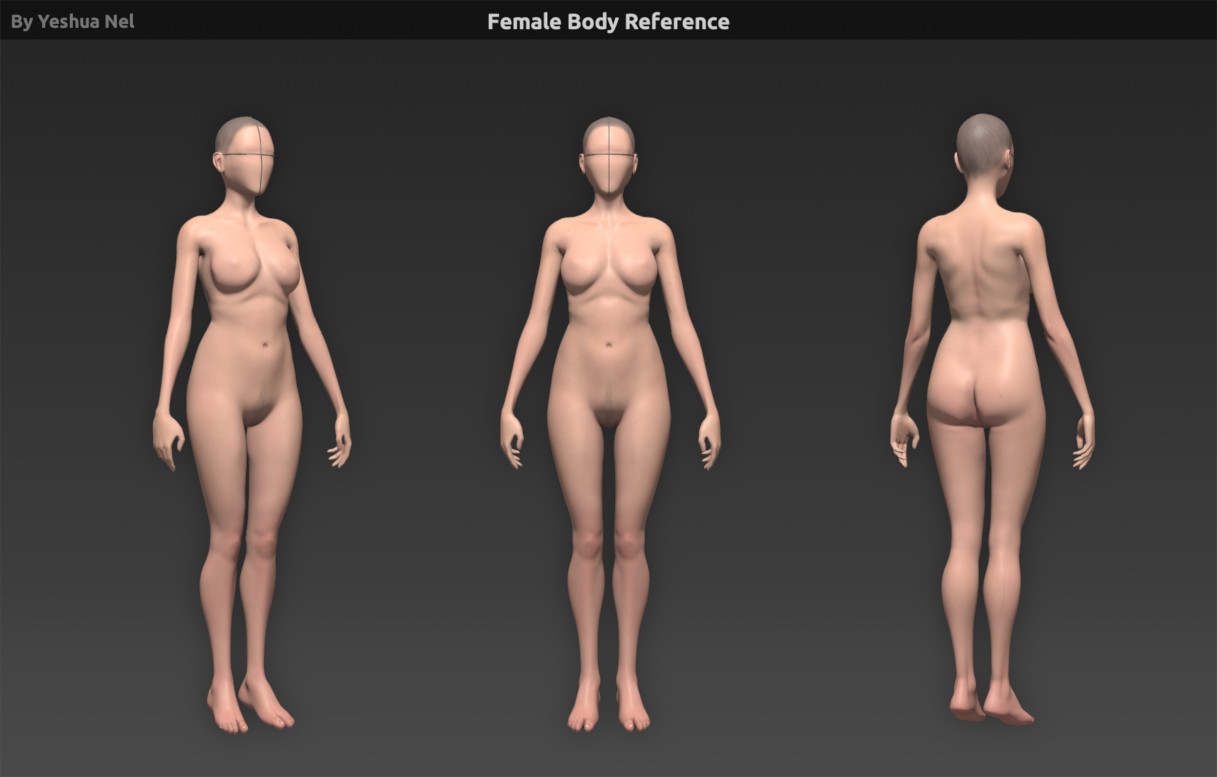 3d model of human body reference https