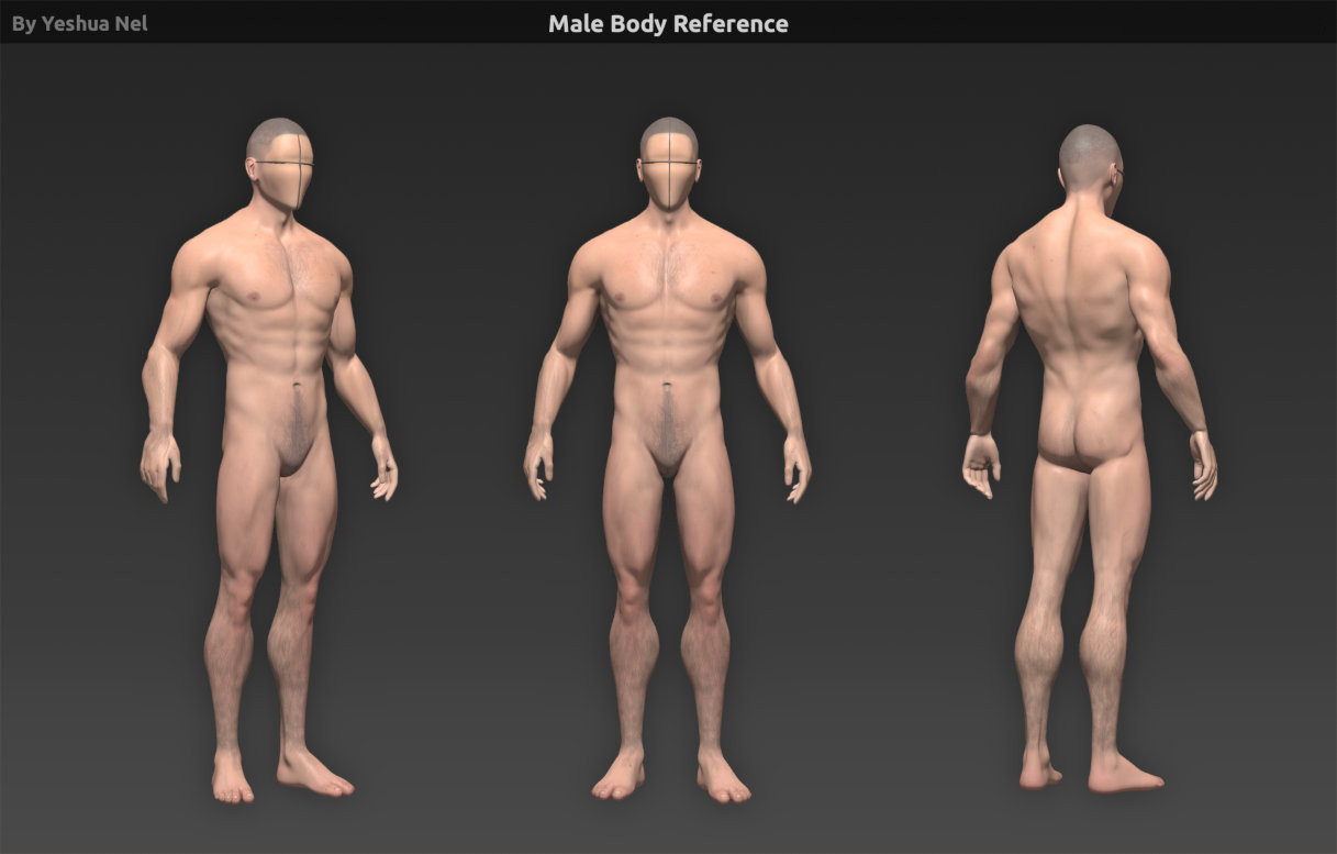 male human body reference 3d obj https
