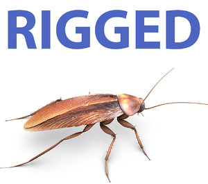3D model insect cockroch
