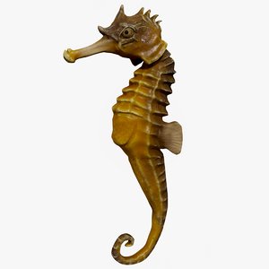 3D ready seahorse