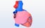 human heart 1 3D model