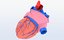 human heart 1 3D model