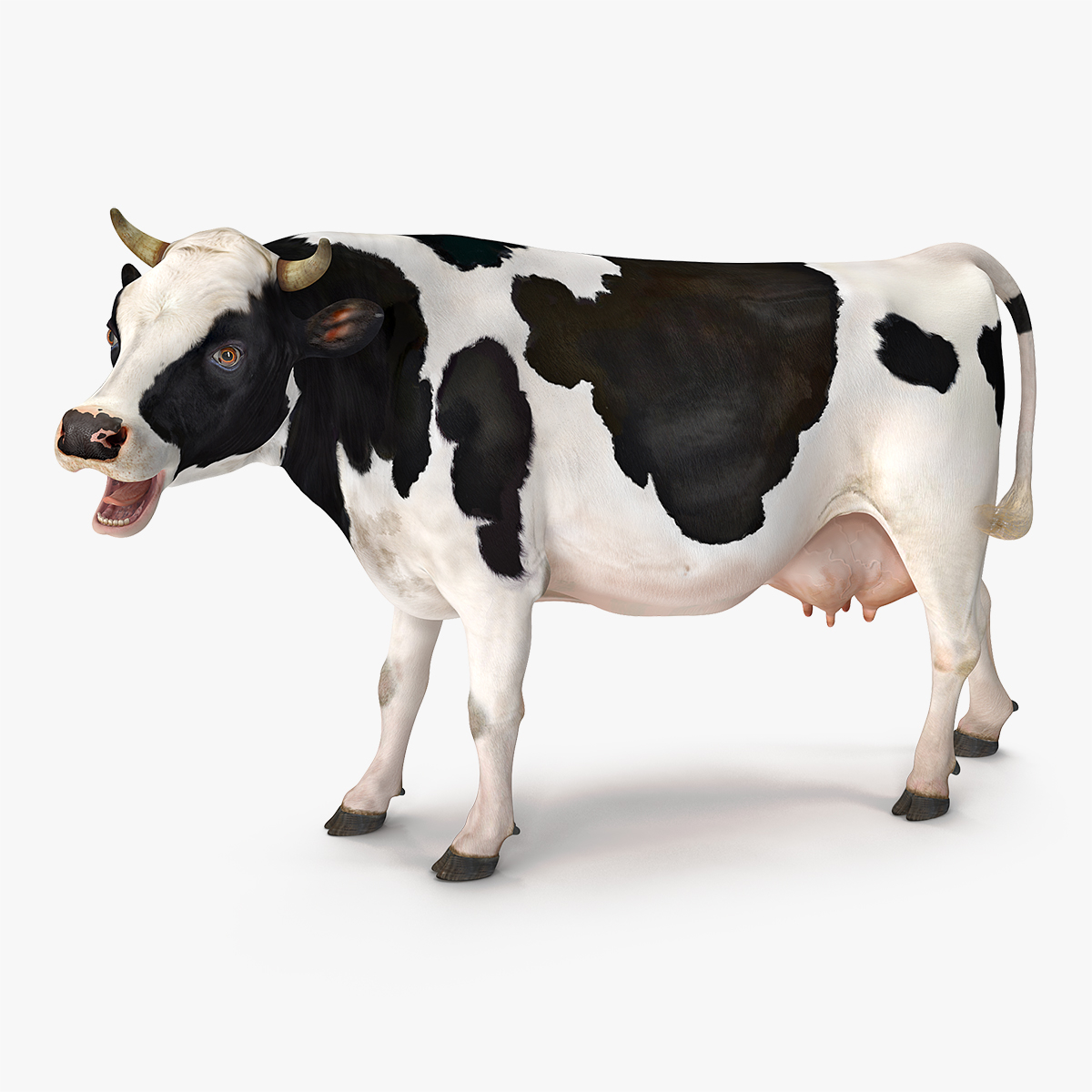 3D dairy cow rigged model - TurboSquid 1251950