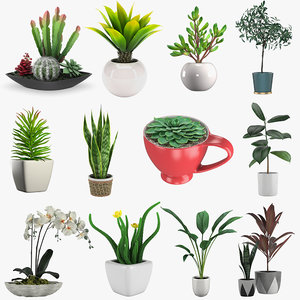 3D plant pot model