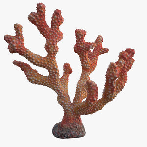 3D coral acropora v3 model