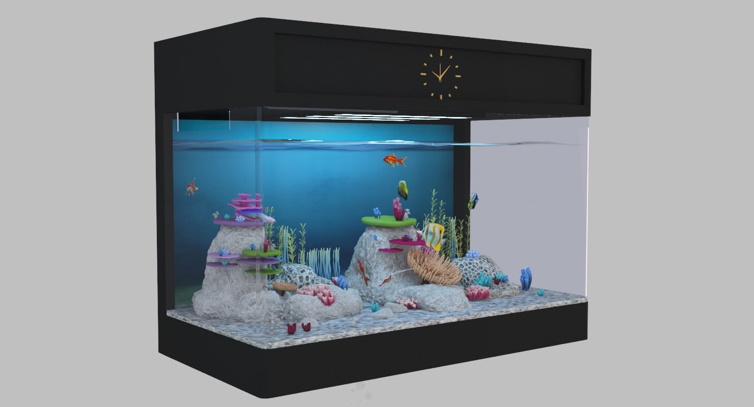 3D model aquarium fish box TurboSquid 1253812