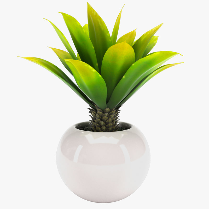  3D  model  plant pot  TurboSquid 1252504
