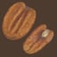 3D nuts walnut shell