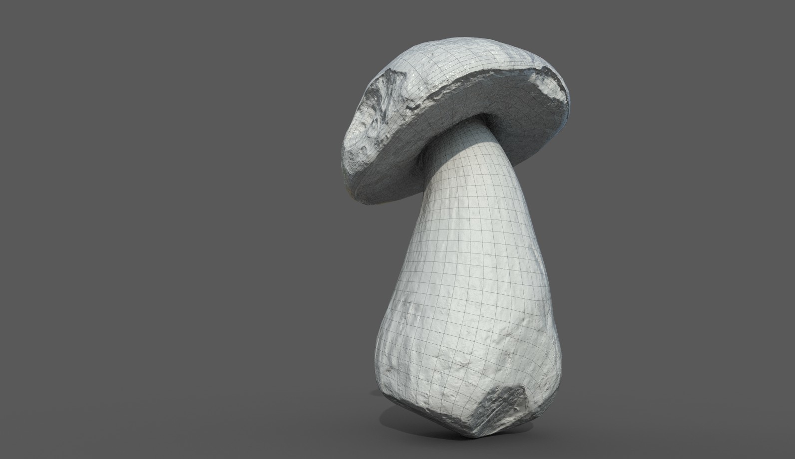 蘑菇牛肝菌023d模型