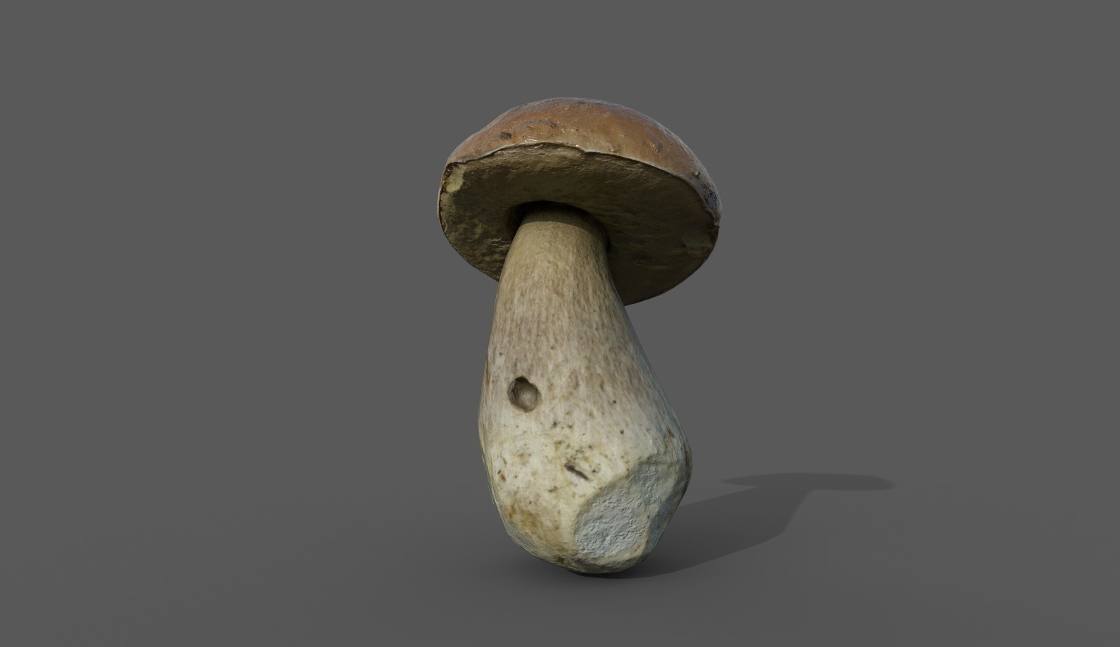 蘑菇牛肝菌023d模型