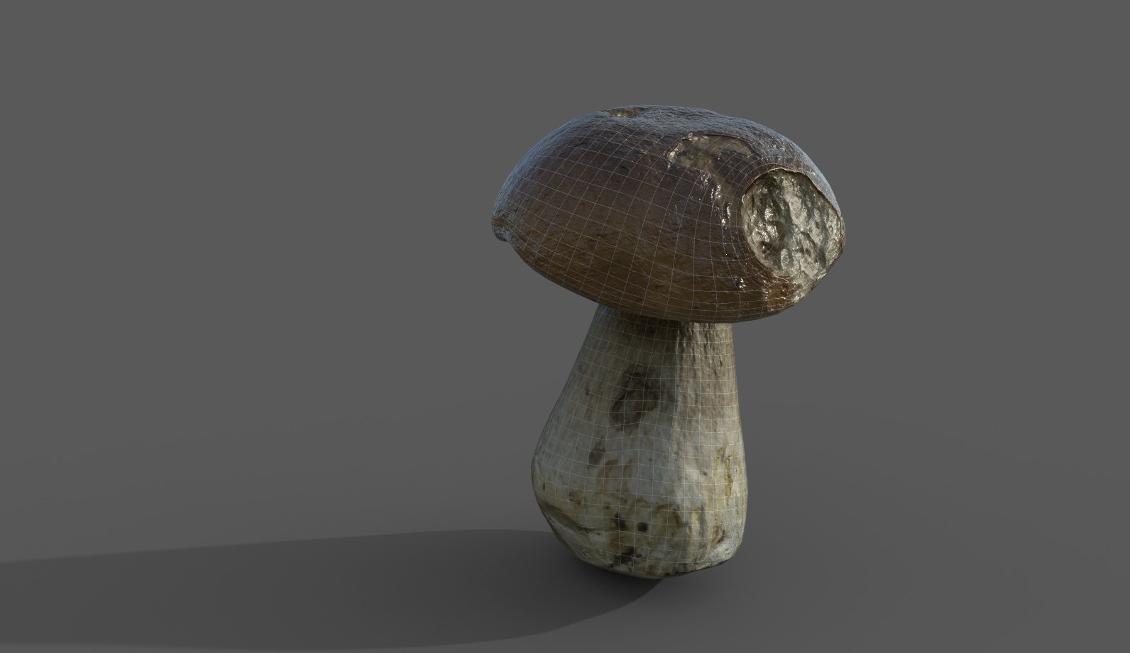 蘑菇牛肝菌023d模型