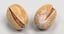 nuts hazelnut walnut 3D model