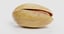 nuts hazelnut walnut 3D model