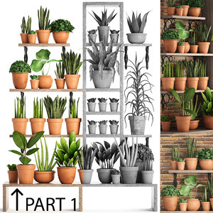 plants 1 3D model