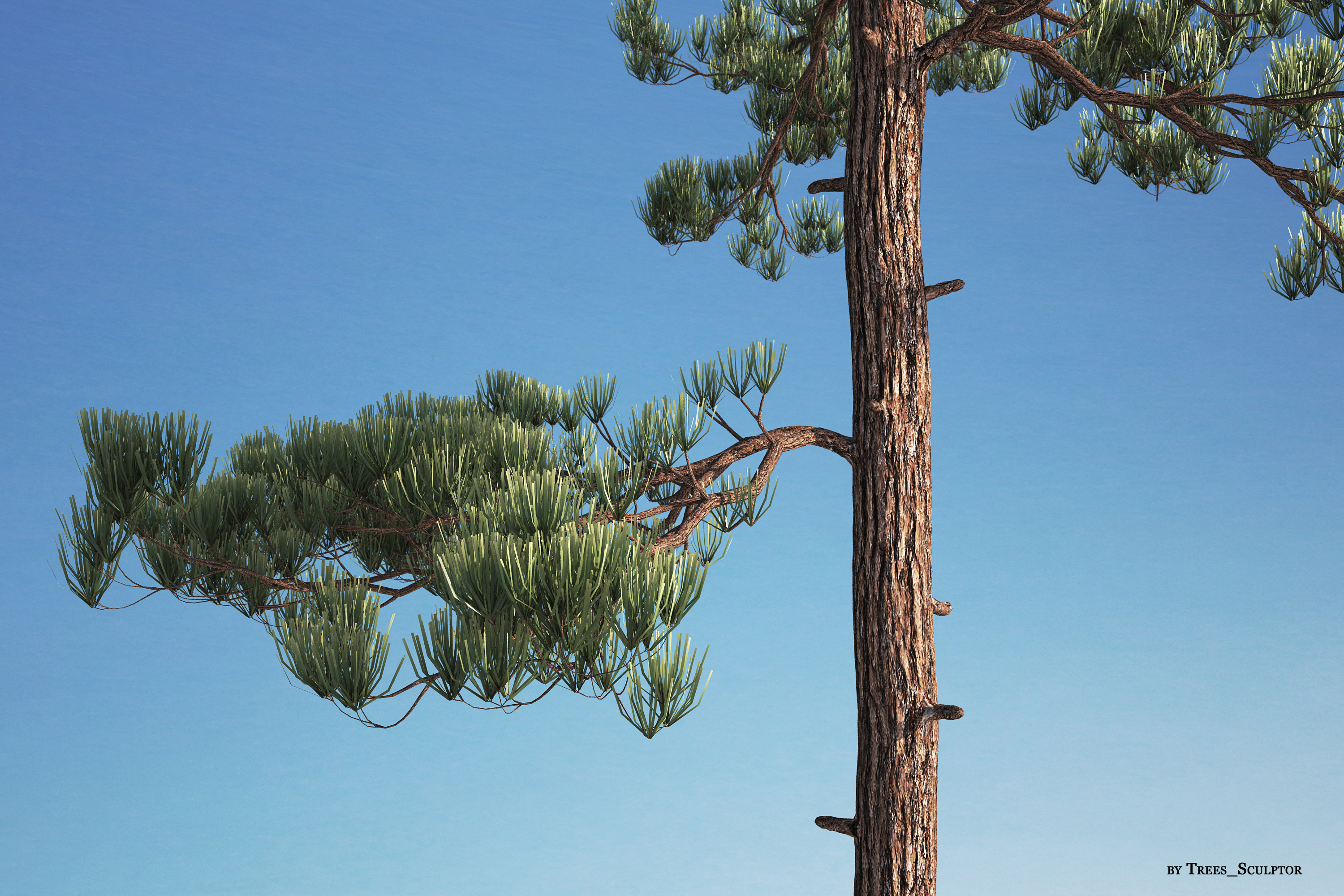 pine collection vol.03(全部25棵松树)3d模型