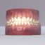 realistic teeth 3D model