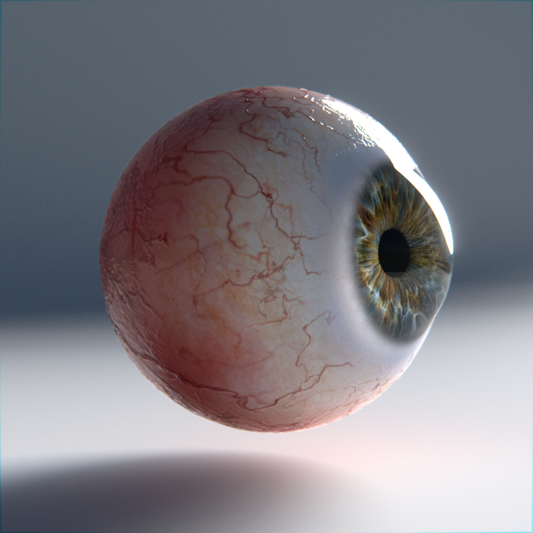 3d model of human eye