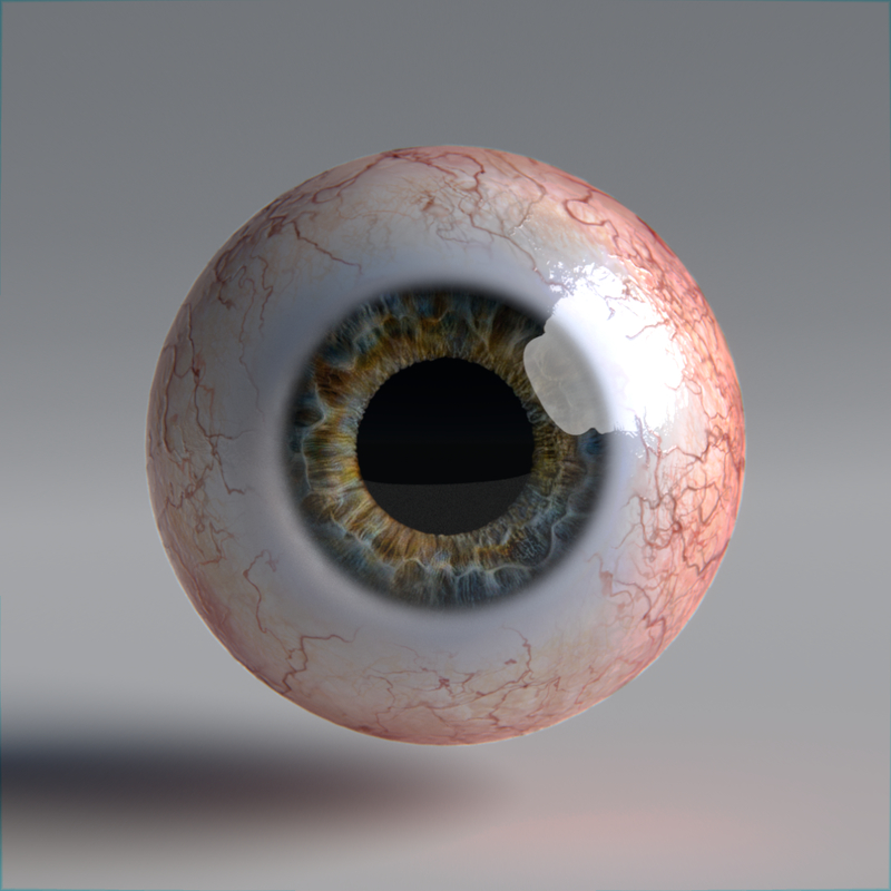 3d model of human eye