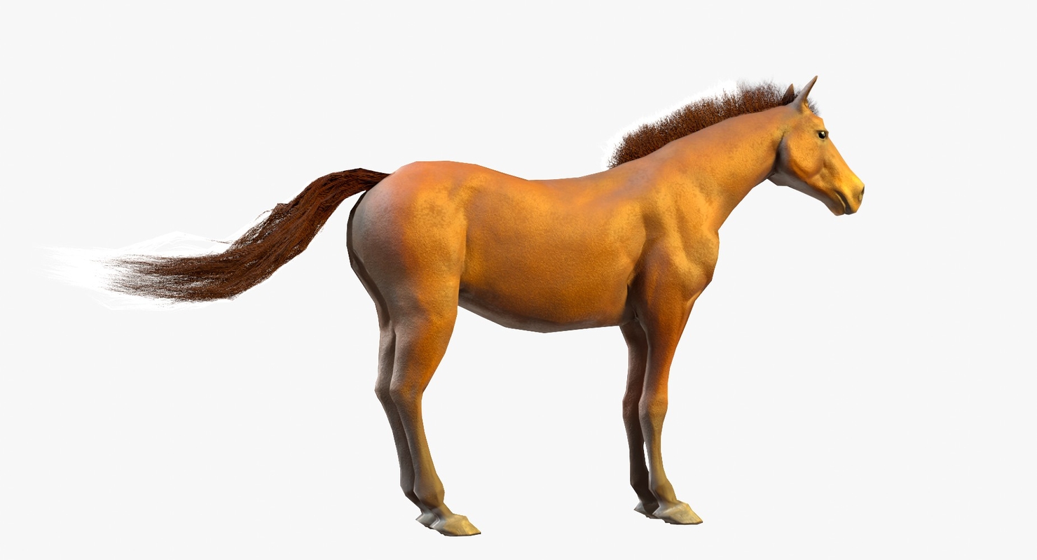 Horse blender hairs 3D model TurboSquid 1253050