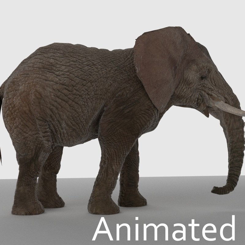 3d elephant model sketchup 1253200 TurboSquid 3D african model elephant