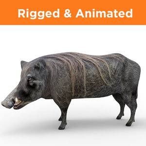 3D wild boar rigged animation model