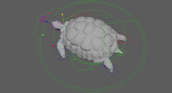 Turtle rigged 3D model - TurboSquid 1253501