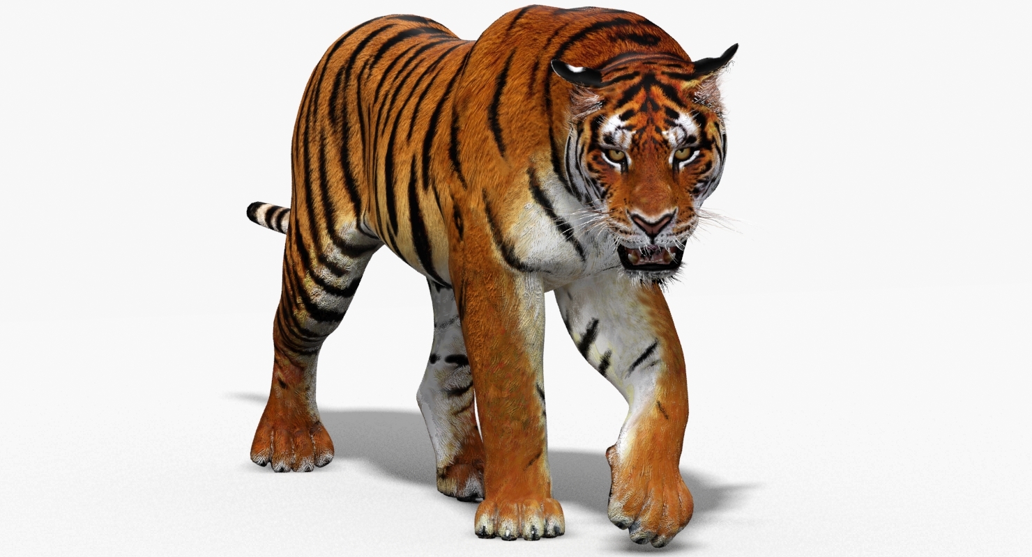 3D老虎图片吓人霸气图片