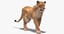 big cats lion lioness 3D