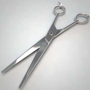 scissors model